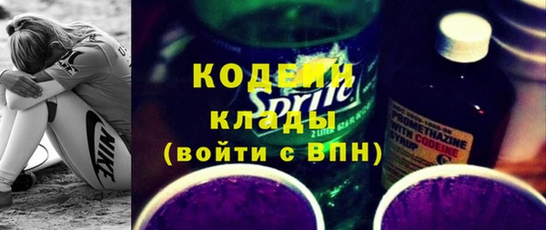 индика Арсеньев