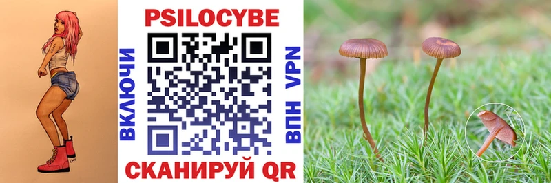 купить наркотики сайты  Мамоново  Псилоцибиновые грибы мицелий 
